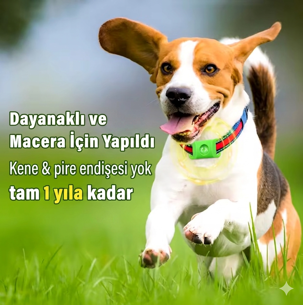 PatiShield - Köpekler için 12 Aylık Tamamen Doğal Pire ve Kene Koruma Kolyeleri