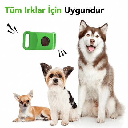 PatiShield - Köpekler için 12 Aylık Tamamen Doğal Pire ve Kene Koruma Kolyeleri