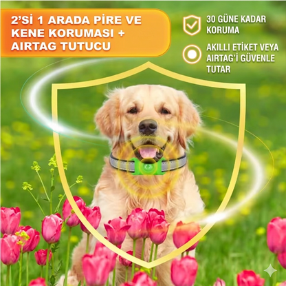 PatiShield - Köpekler için 12 Aylık Tamamen Doğal Pire ve Kene Koruma Kolyeleri